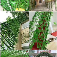 �����~������픾G�~�ٗl�bٻ��p�@�ܵ��ړ����ϾG�}�Gֲ��