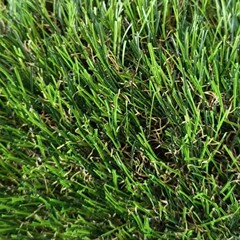 人造模擬芝生欧米庭園秋草対外貿易アマゾンは偽草皮クロスボーダー工場の対外貿易金を裁断することができる