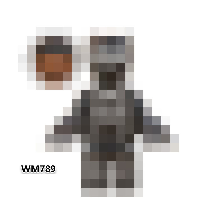 Foreign Trade Goods Wm789 Tv and Movie Series Assembled Building Block Minifigure Toys Foreign Trade Goods Wm789 Tv and Movie Series Assembled Building Block Minifigure Toys