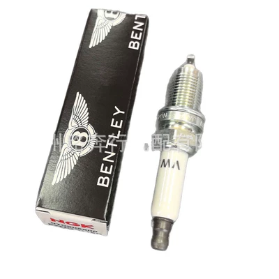 is a spark plug, Alışdırma şamı (Sveçalar)