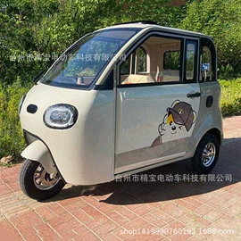 其他电动车;电动三轮车;其他非机动车