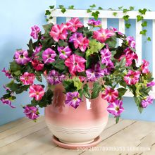 �羳����ѷŷʽ��������������ǣţ���ڼ��������Ȼ�װ�ο����Ҿ�