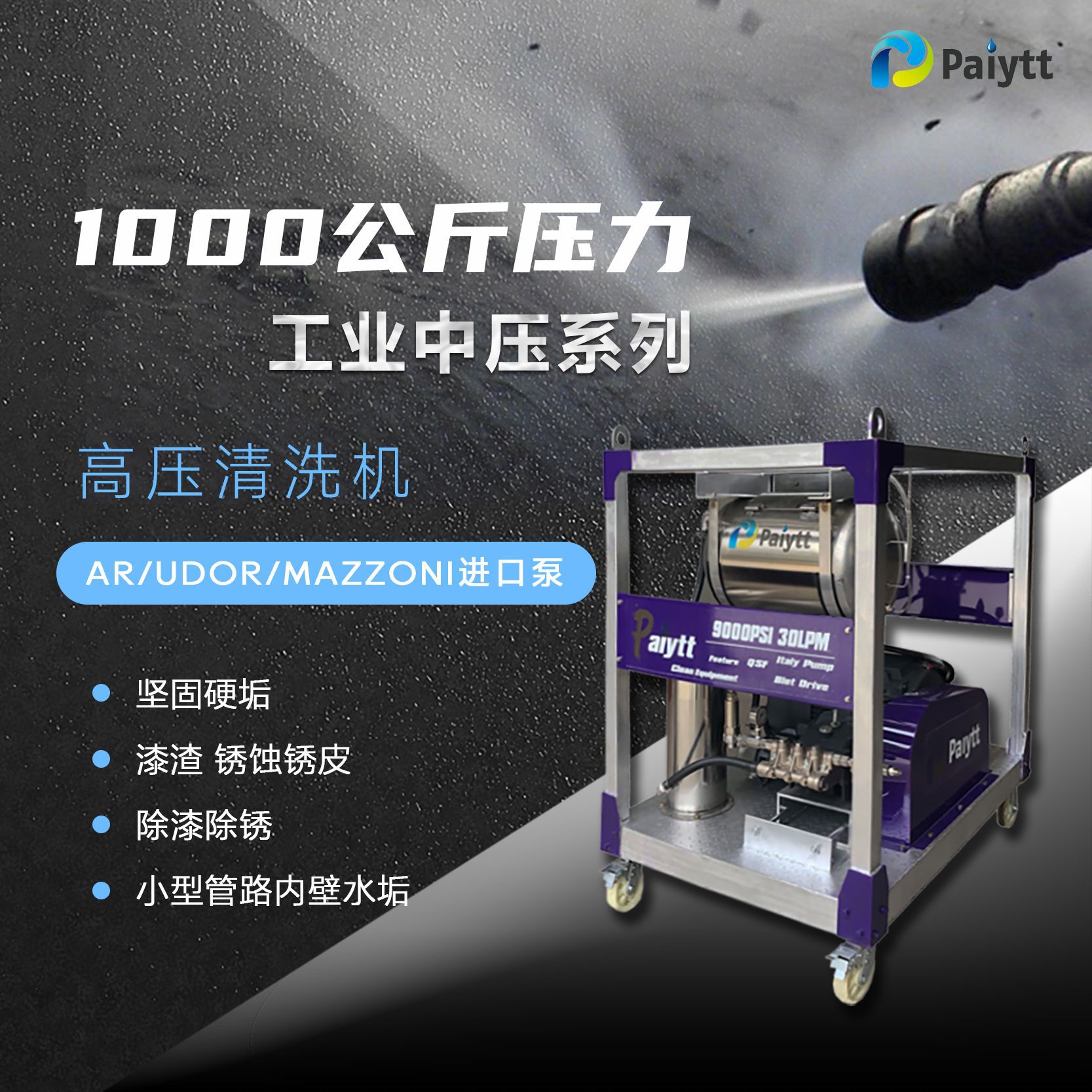 PAIYTT工业清洗机 AR/UDOR高压泵 高压清洗机 100-500bar可选