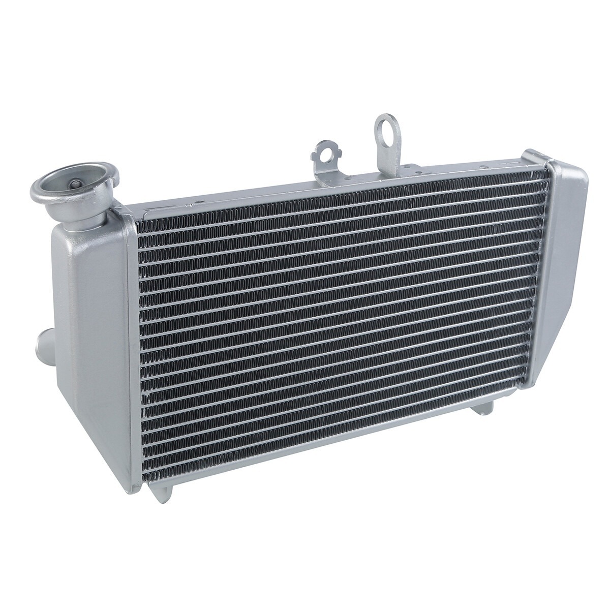 Suitable for Yamaha YZF R3 2015-2025 Water Tank Assembly Water Tank Radiator