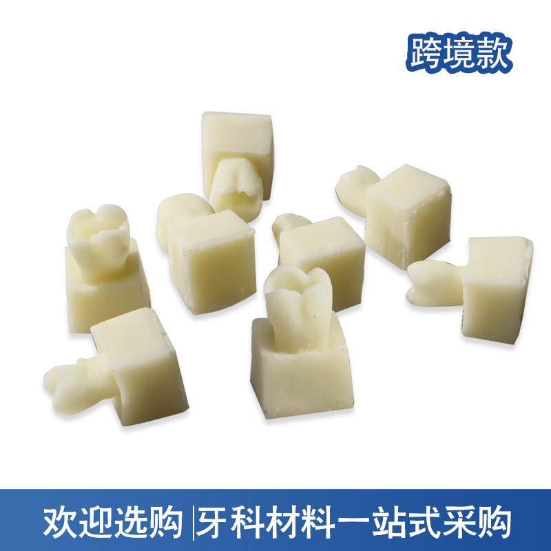 Ejercicios de inserción de resina diente granular modelo de ejercicio de relleno dental modelo de ejercicio de relleno de resina oral