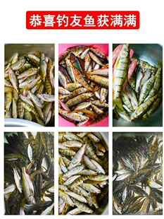 �Ϫ���D��Ϫʯ���~�D��Ϫʯ���~��D�ⴽ�~�R����Dͨ���a�~