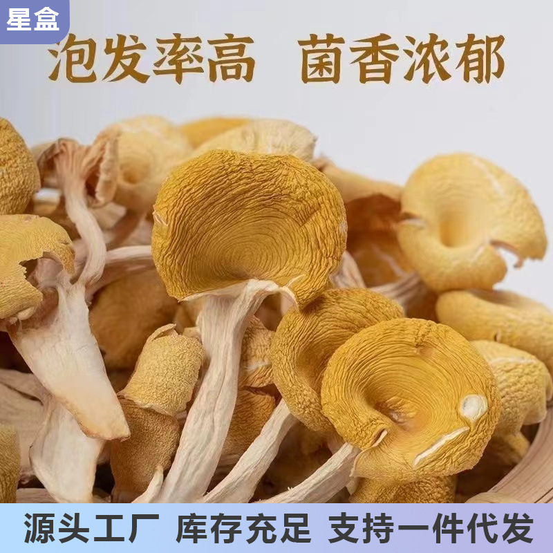 雲南省土産鶏油菌乾燥品黄糸菌楡黄菌無薫硫黄乾燥品食用菌食材|undefined