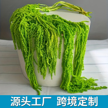 �羳�Gֲ�������������z���˹���c��Y������Y�÷��滨�����b�