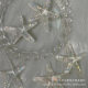 Summer Starfish Ice Pearl Decoration with Goo Card Set DIY Handmade Design Material Dimension ins Style
