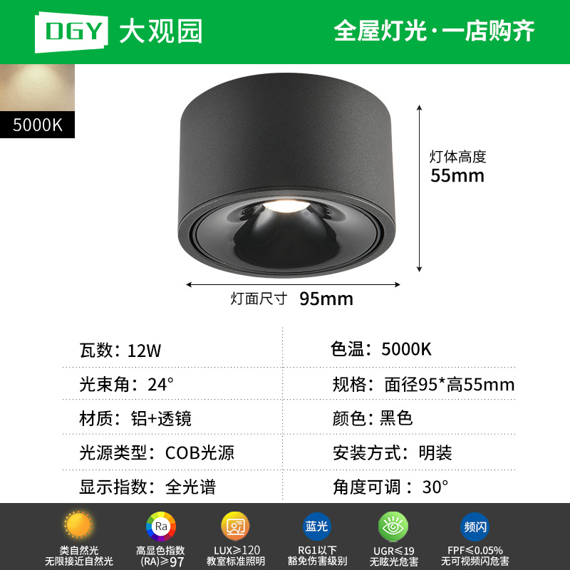 Da Guan Jardín luz de reflector anti-deslumbramiento colina sala de estar sin luz principal luz de techo downlight led corredor luz de techo 495L image 44