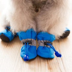 Directly from the manufacturer, protective pet shoes, dog and cat foot covers, cute VIP Teddy, Bichon, Chihuahua plus velvet