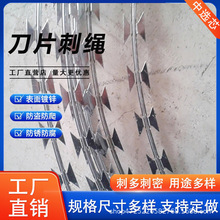 ��͵�ɝL�\�̽zY�ͷ��I���K�LͲ�C����Ƭ���p�����K�̽z�F��޼