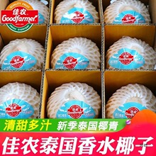 【包邮】泰进口椰青孕妇水果椰子鸡新鲜椰子9粒一箱批发