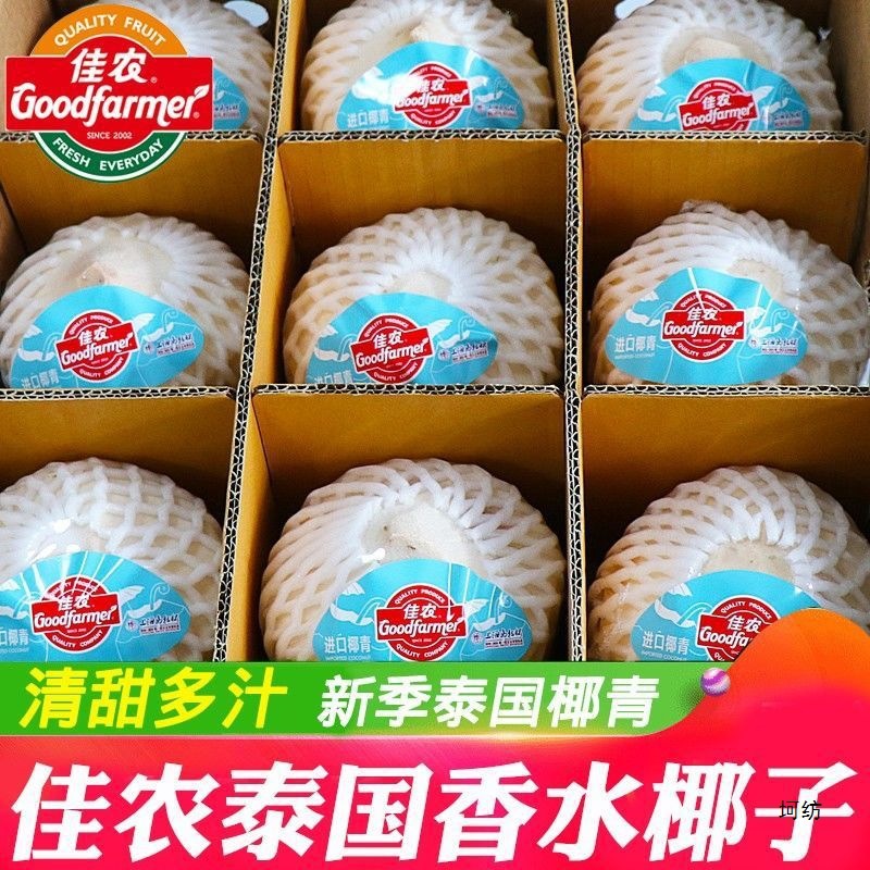 【包邮】泰进口椰青孕妇水果椰子鸡新鲜椰子9粒一箱批发