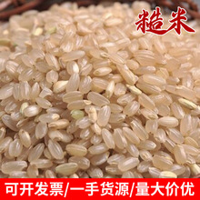 农家胚芽大米粗粮玄米 黄糙大米胚芽米批发粳米五谷杂粮现货批发