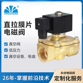 电磁阀;其他阀门;往复泵