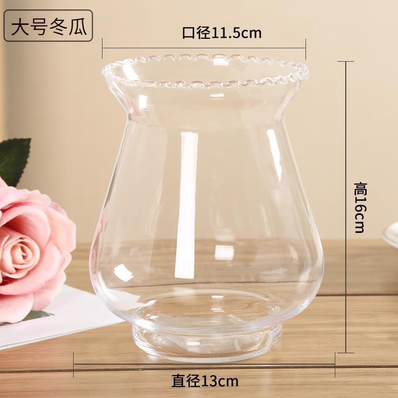 水培植物ガラス瓶透明直筒円筒形花瓶シンプル緑羅白掌水養ガラス容器|undefined