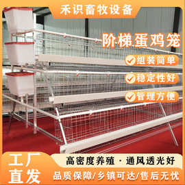 阶梯鸡笼架子鸡舍养鸡镀锌丝养殖设备三四层蛋鸡笼多层式养殖设备