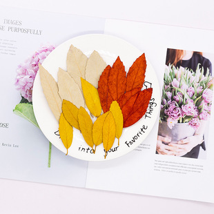 �����~  Ѻ���ɻ�diy�R���������z�Ʒ�����޹Ϟ�T��ĉ������~
