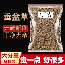 垂盆草中药材散装正品500g克正宗药用食用垂盆草干垂盆草锤盆草