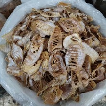 ���l�����r�خa��؛��Ʒ�]�����Ķ��S�����mƬ�S��Së��S��500g