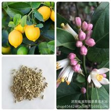 ���羳��؛��ˬ�ڙ��ʷN����ˮ���ʷN�������ʷN���S���ʷN���̨