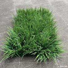 Lϲƺ횲݉Kϲ݉|K݅쾰ײݴuϲ