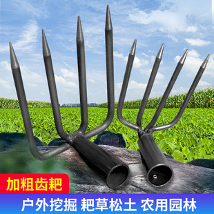 䓰Ҷ��X���Ӷ��X���X���X���s�������ټt���������ݼ���ץ�h����