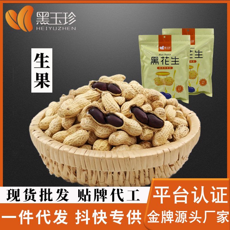 黑玉珍山东黑花生/云南富硒带壳生果 2023新货农家自种 手工甄选