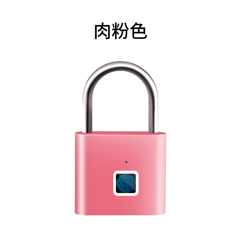 ZWGS-02 사각 살색 핑크 지문 자물쇠