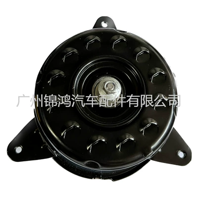 21487 series, Fan
