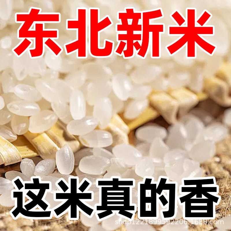 黒竜江省真珠米 5kg 東北粘り米 香り米 真空包装 農家新米 1年1回|undefined