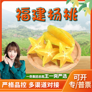 �����x���������ݗ���  ���r������Ү�������Ꭷˮ���º�����