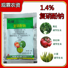 �G���r�S��1.4%�������c�����{�����L�S���{�����LС���{�����L