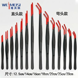 镊子;假睫毛;假睫毛镊子