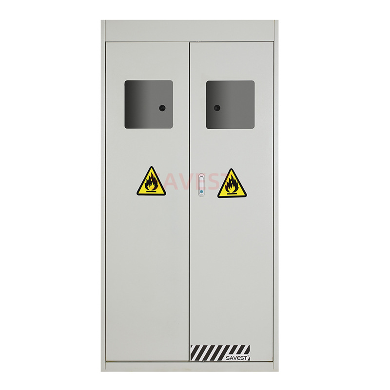 SAVEST厂家现货供应上海气瓶柜 双瓶气瓶柜 全钢气瓶柜