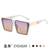 Fashionable trend sunglasses, glasses, 2023 collection