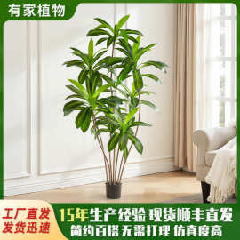 大型落地仿真绿植高级感巴西木盆栽家居室内装饰仿真树龙血树植物