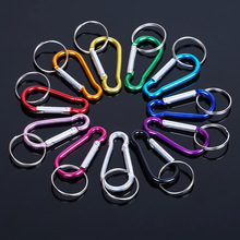 �S�����l��ɽ���X�Ͻ��ɽ�� 8̖���J�Ύ�Ȧ ���h���� ������