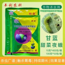 ���ưж�5%�װ������S���ر������}���ҹ�ꚢ�x��ˮ���޻���