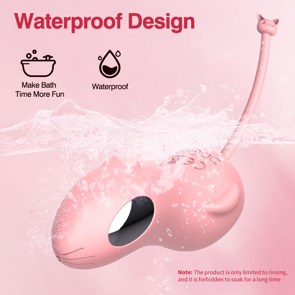 Wireless Remote Control Vibrator For Women With Shock Functions_voghion.com