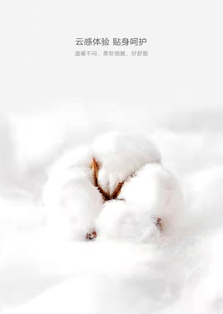 D22829 plus model_09.jpg