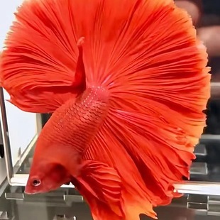 ̩�����~�W�t���t�ۼt�t����~���ô�����Ꭷ��ˮ�����~