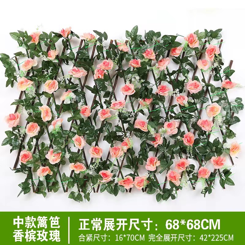 오렌지 0.7m 샴페인 로즈