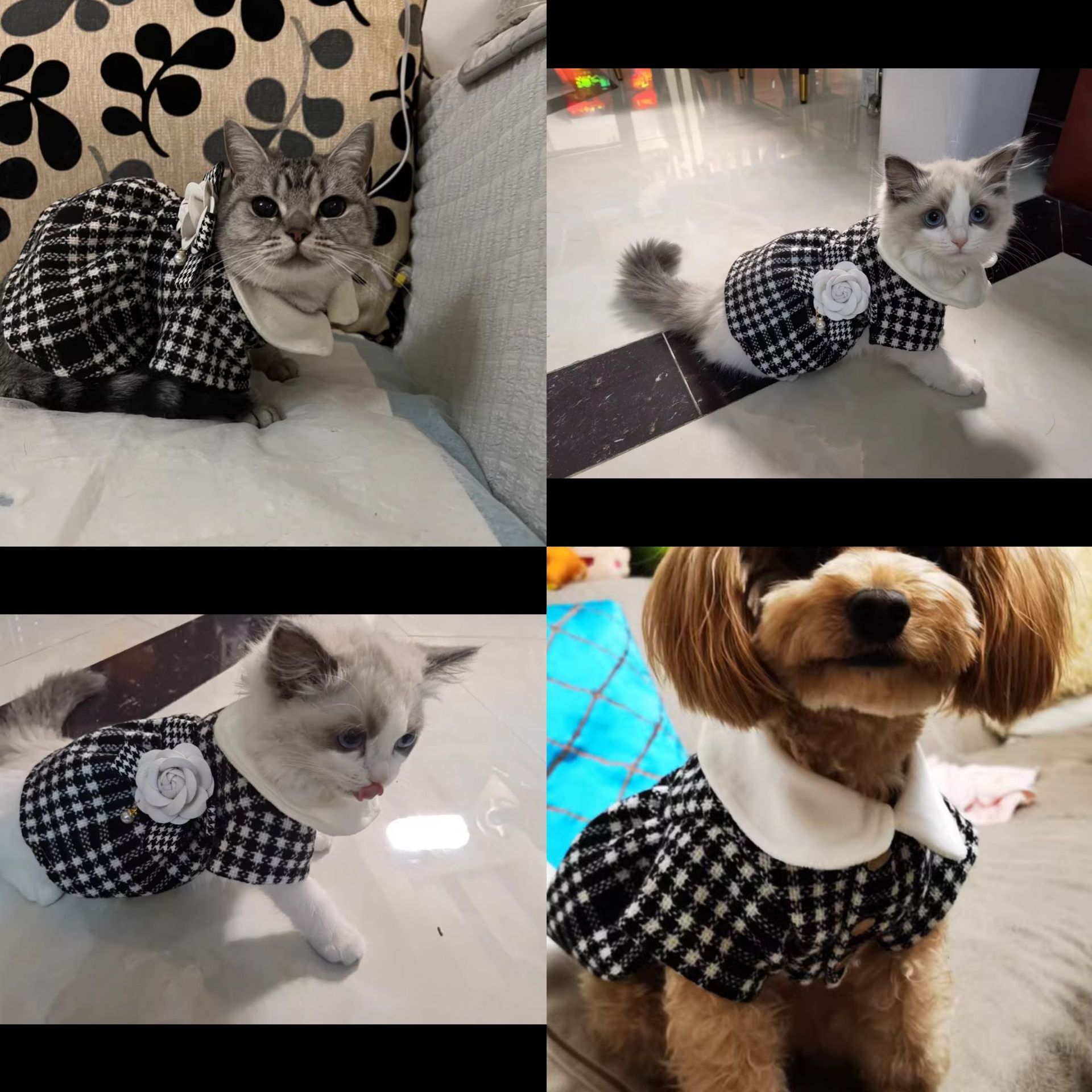 Sweet Wool Checkered Pet Clothing display picture 3