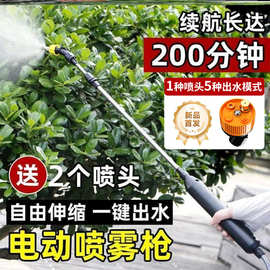 便携式洒水壶园艺浇花全自动电动可伸缩喷枪浇花充电式消毒新款