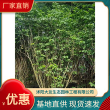 �Ͼ��������� �Բ�����  Ʒ����ȫ�����쾰�����̻���