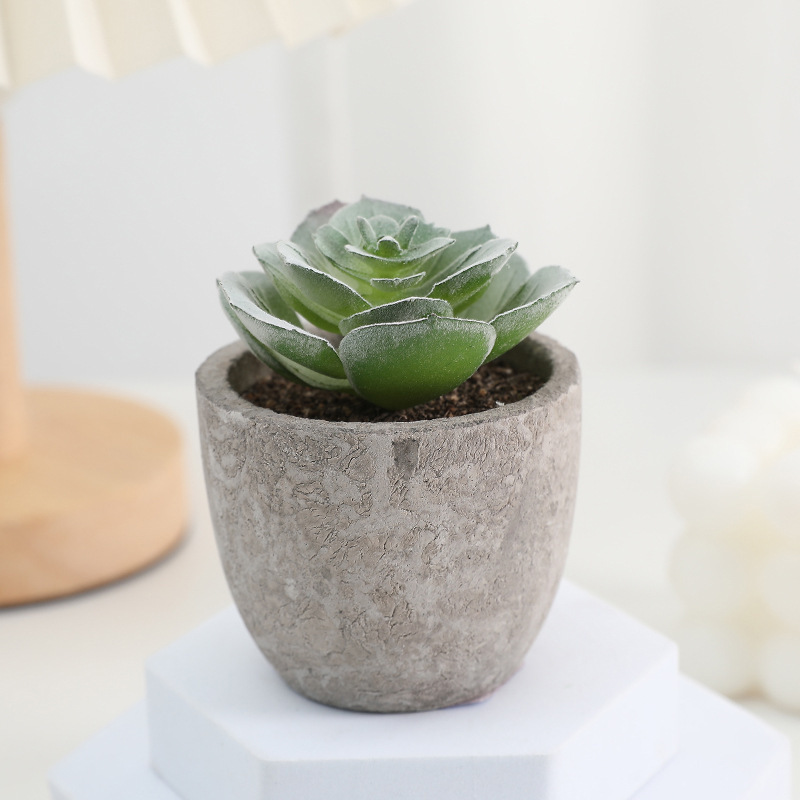 鉢植えのパルプの植毛の多い肉の鉢植えの家庭のデスクトップの事務室の置物をシミュレーションします。|undefined