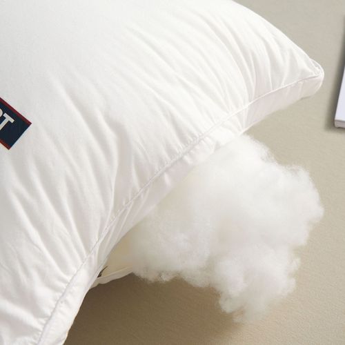 A Class 100% Cotton Five-Star Hotel Pillow Core Wholesale Student Dormitory Homestay Household Pure Cotton Pillow Core Pair