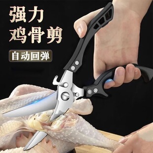 ���P䓏N������������^�����~���������u�Ǽ���ꖽ��u�Ǽ�